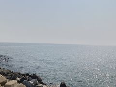 -东堤公园