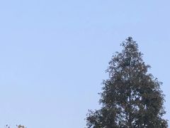-浮山香苑
