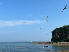 -棒棰岛宾馆景区