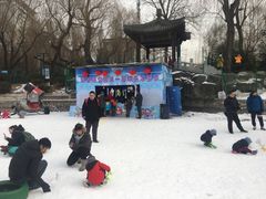 -紫竹院公园冰场