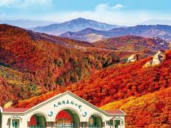 -丹东天桥沟景区