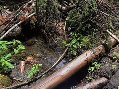 -峡谷浮石林景区