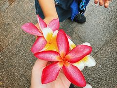 -晓港公园