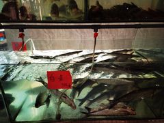 -天和楼·精致太湖酒家(太湖店)