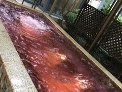 -春晖园度假酒店温泉