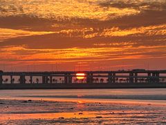 -宝安西湾红树林湿地公园