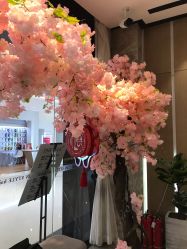 -IN STYLE·全国形象店