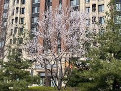 -北京清河万象汇
