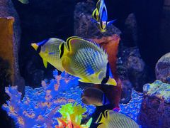 -成都浩海立方海洋公园