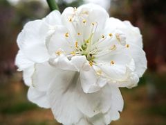 -桃花涧