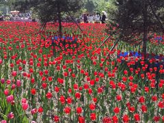 -长春公园(普阳街道)