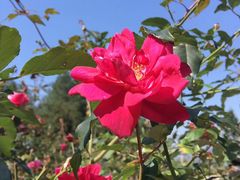 -山王坪喀斯特国家生态公园