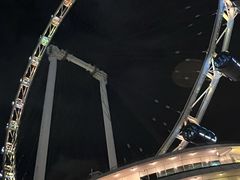 -新加坡摩天观景轮