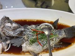 -骏莱海鲜鱼港(五角场店)