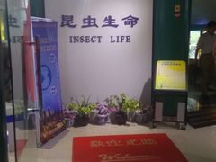-上海昆虫博物馆
