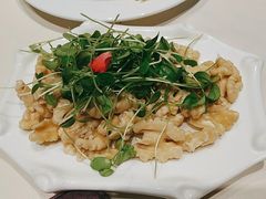 -凯鸽酒楼(操场城店)