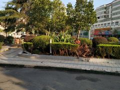 -宁小厨新星大酒店