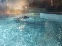 -萌宠奇缘(荣鼎店)