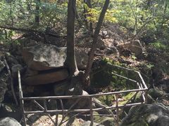 -三块石国家森林公园