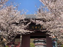 -牛首山文化旅游区