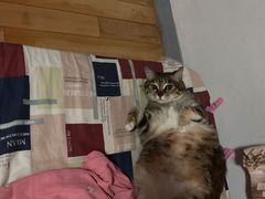 -拜鲁耶动物诊疗中心·宠家动物医院