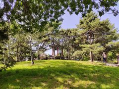 -丰台花园
