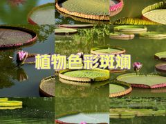 -国家植物园南园
