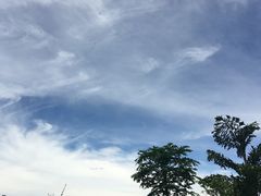 -椰树岛海滩度假村