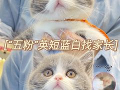 -lincat·猫舍(广州店)