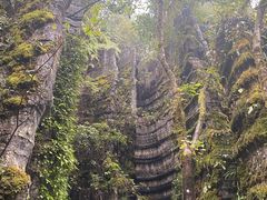 -梭布垭石林景区