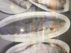 -掌勺人鱼馆(朝阳镇店)