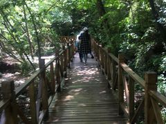 -青峰峡国家森林公园