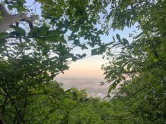 -紫金山山顶公园