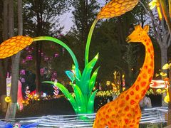-洋湖国家湿地公园