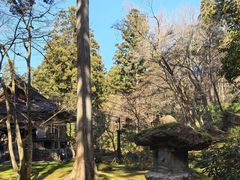 -三千院