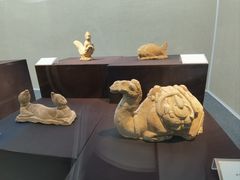 -安阳博物馆