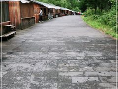 -汤旺河林海奇石景区
