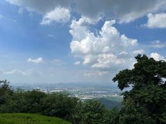 -黄埔油麻山森林公园