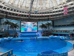 -海合安成都极地海洋公园