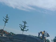 -南戴河国际娱乐中心