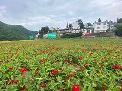 -新安江山水画廊风景区