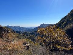 -大岭沟猕猴桃谷风景区