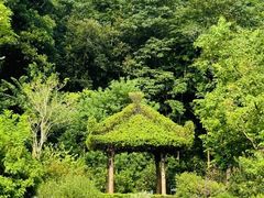 -云溪植物园