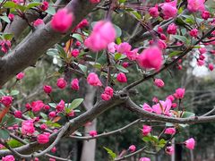 -陈家山荷花公园