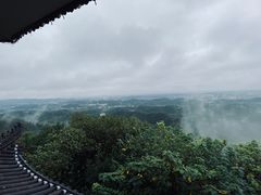 -云碧峰国家森林公园