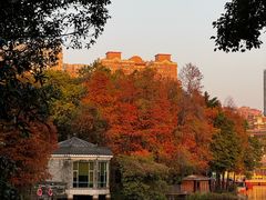 -凌记(泮塘路店)