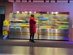 -新艺自助美食城(中山路店)