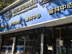 -芭比堂动物医院·心脏科·老年急重症·夜诊·吉雅分院