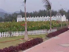 -玫瑰海岸文化旅游度假区