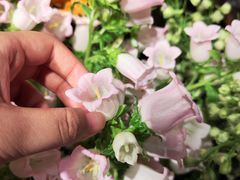 -春暖花开(西溪店)